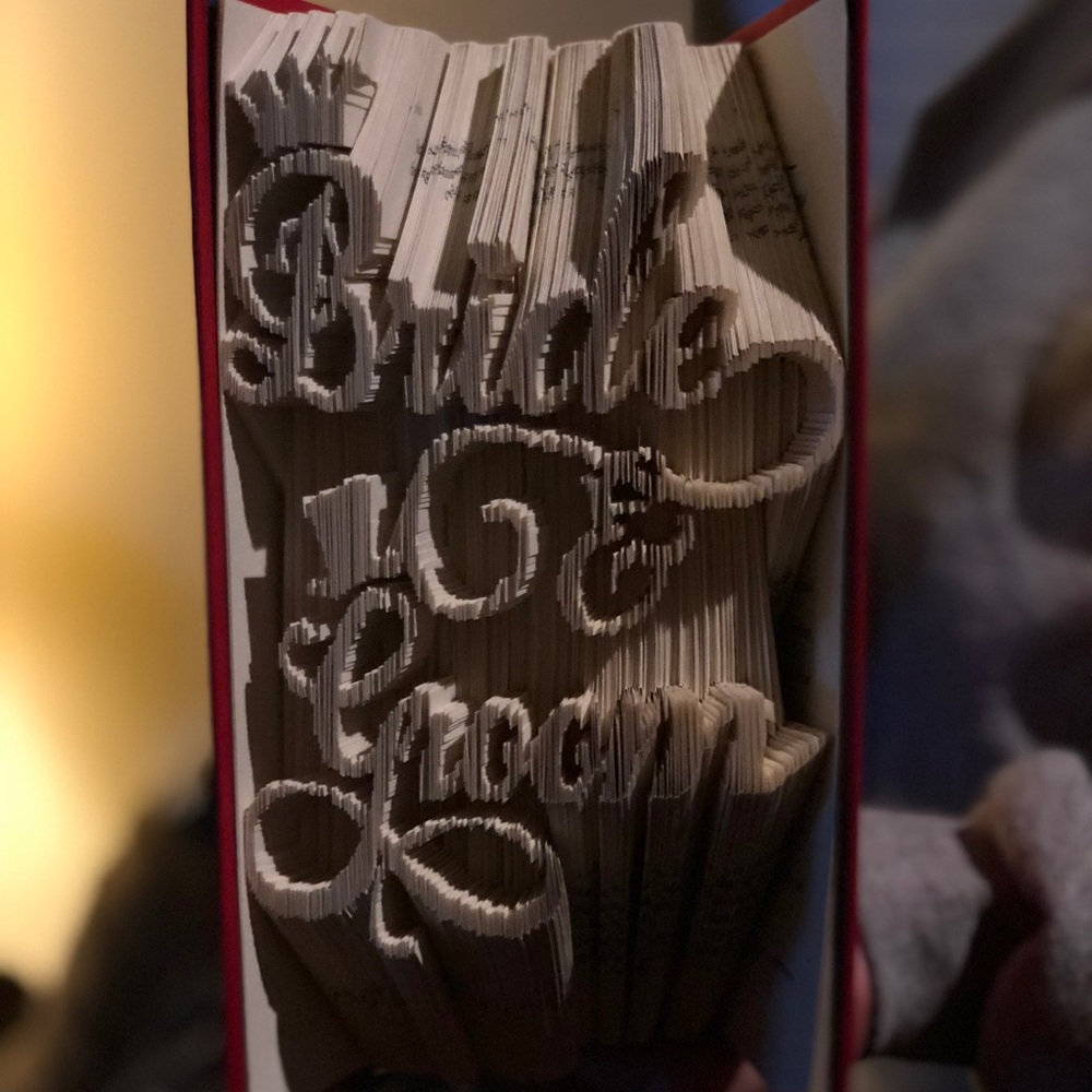 Bride & Groom book art